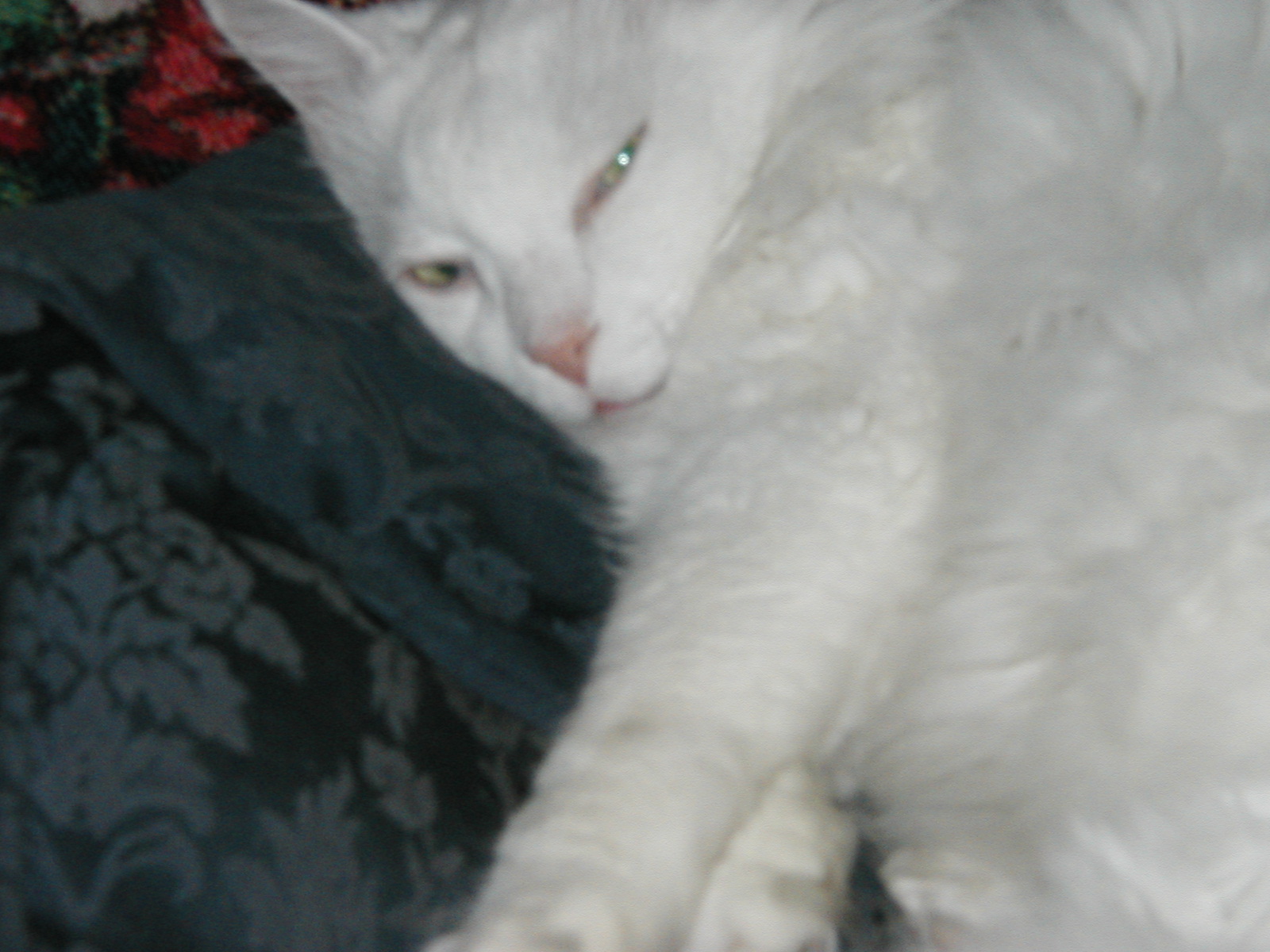 P1010006.JPG