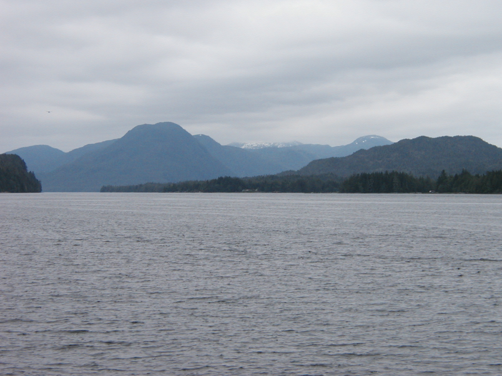 P1010007.JPG