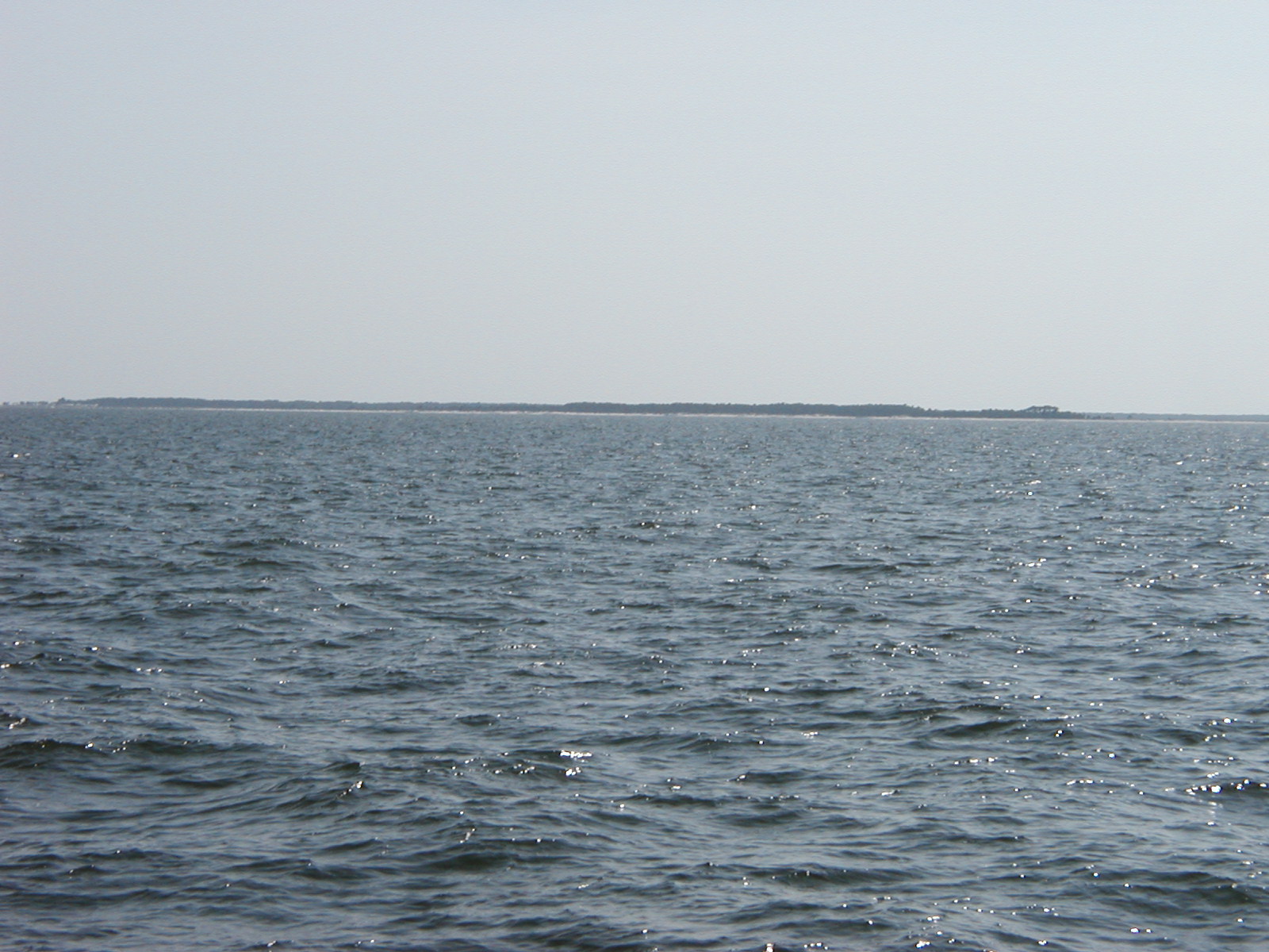 P1010007.JPG