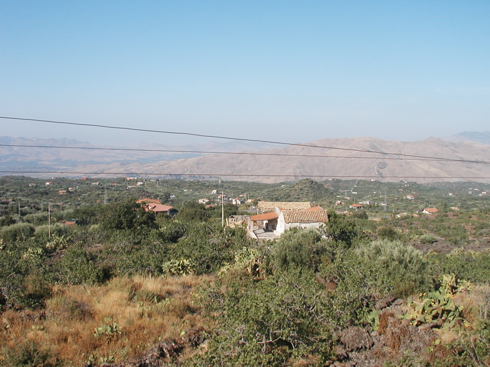 P1010007.JPG