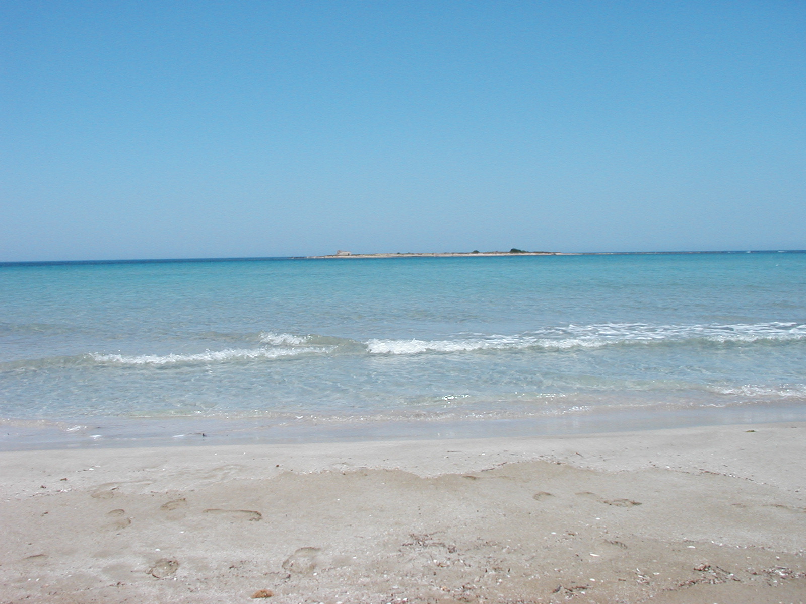 P1010007.JPG
