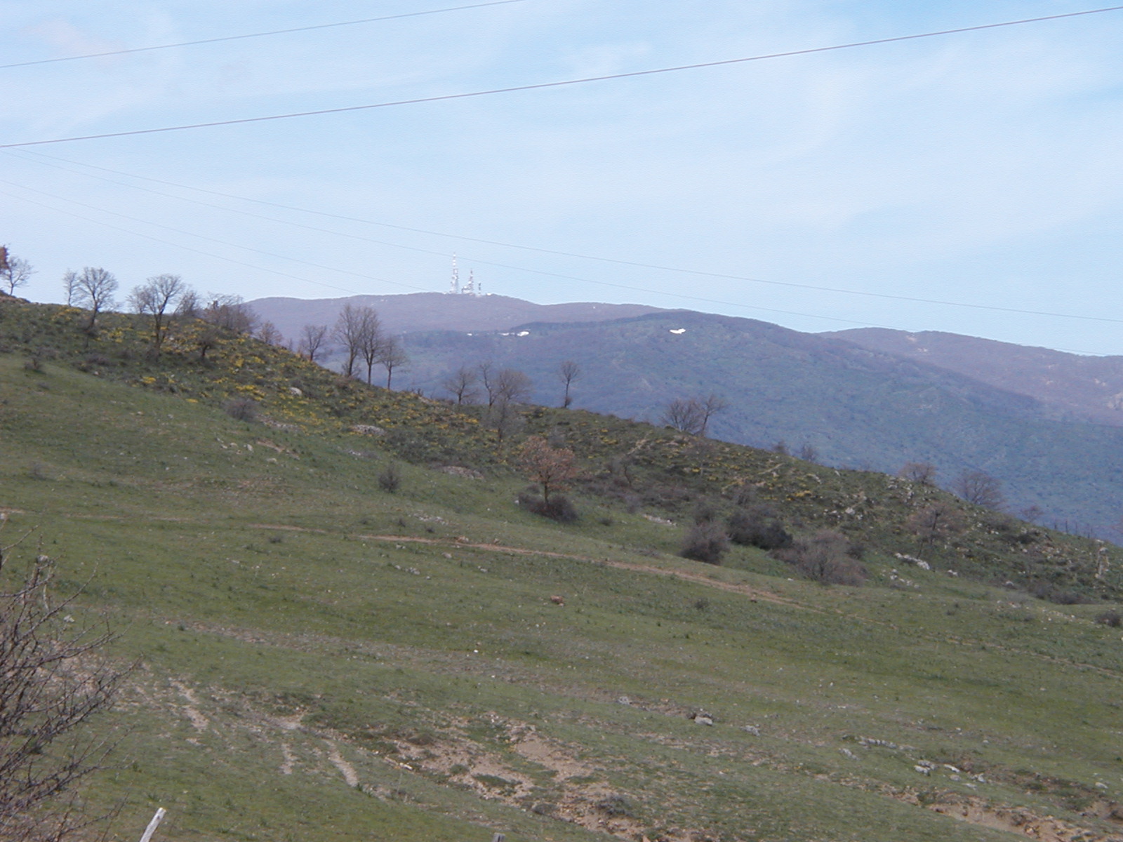P1010008.JPG