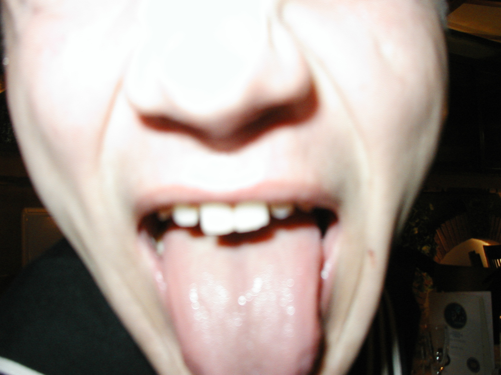 P1010008.JPG