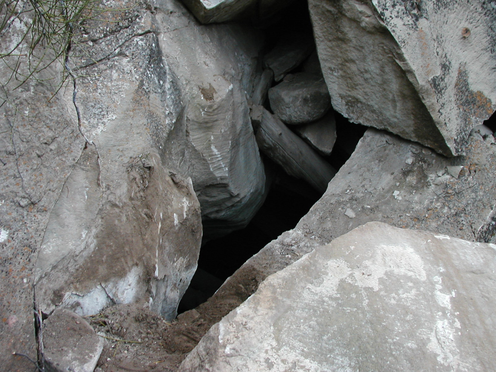 P1010008.JPG
