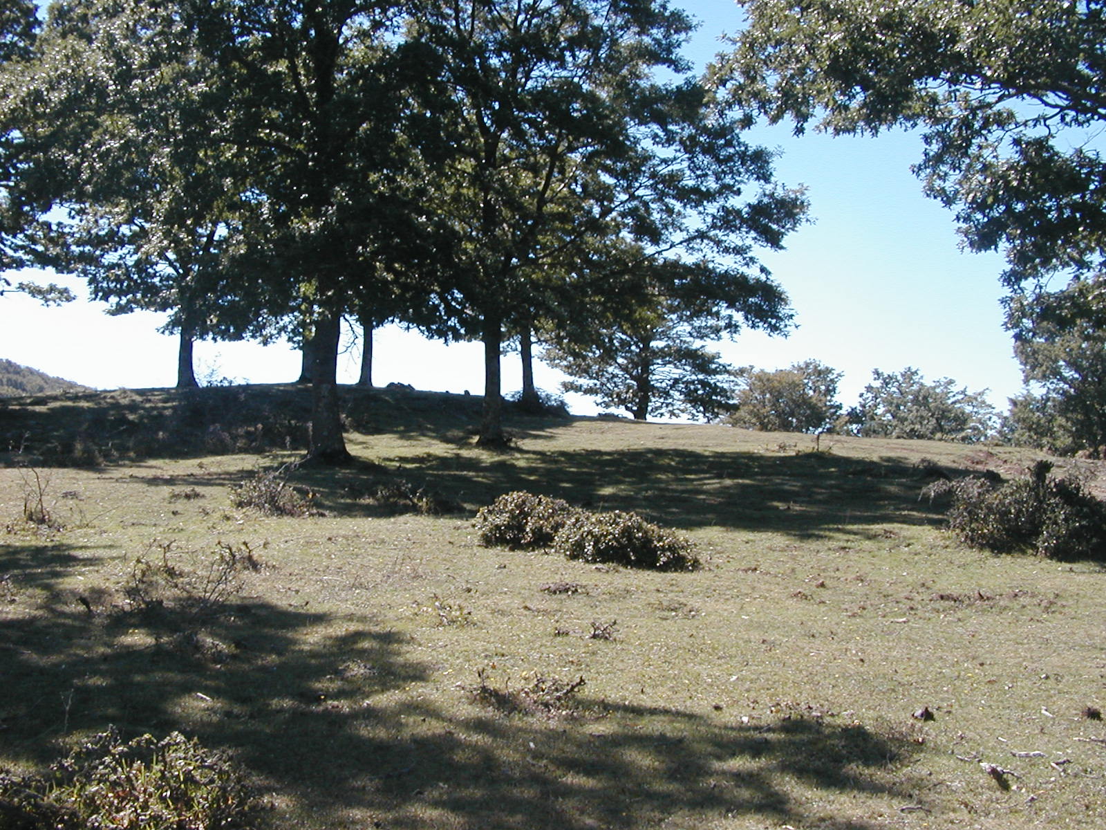 P1010009.JPG