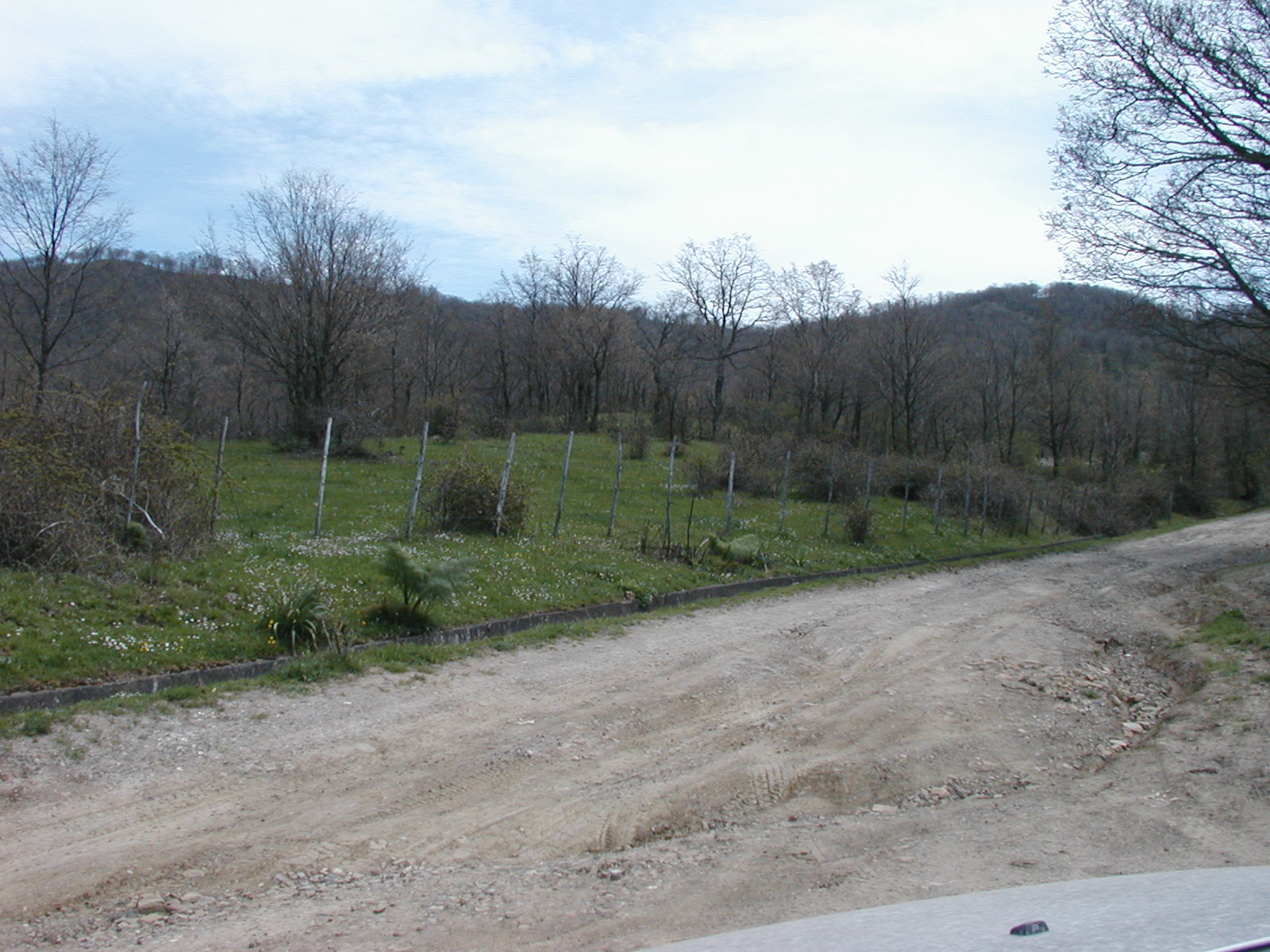 P1010011.JPG
