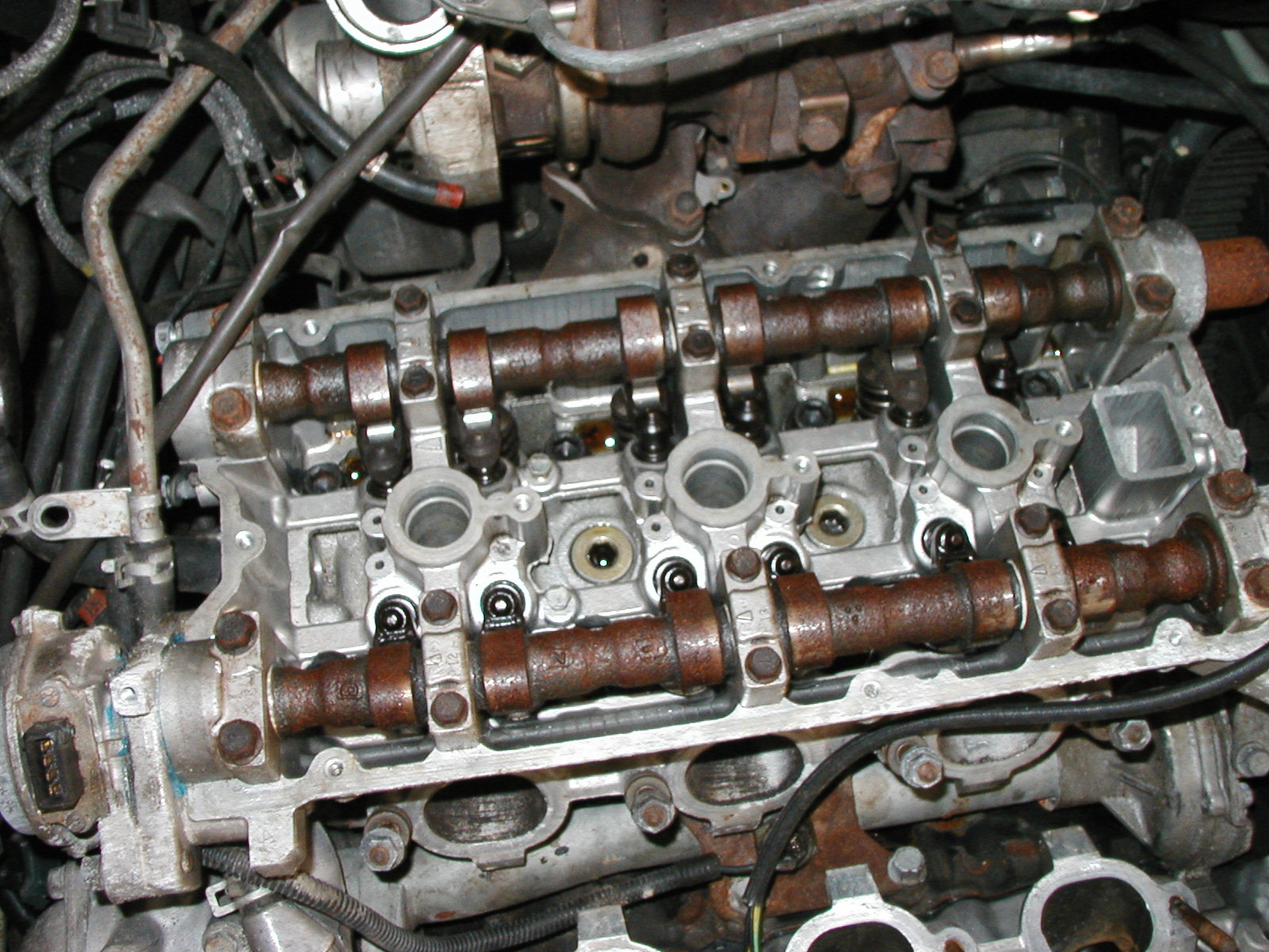 P1010011.JPG