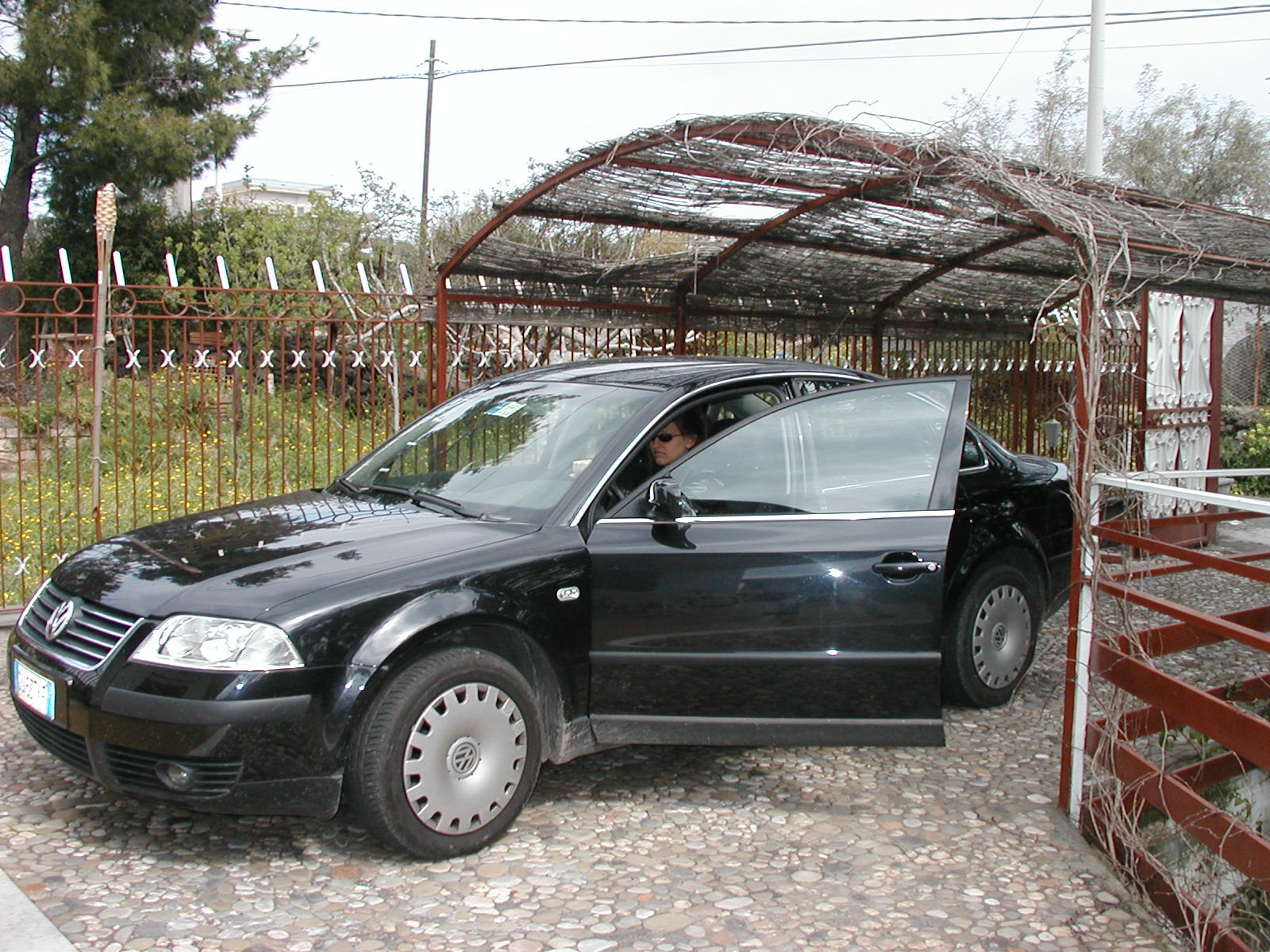 P1010011.JPG