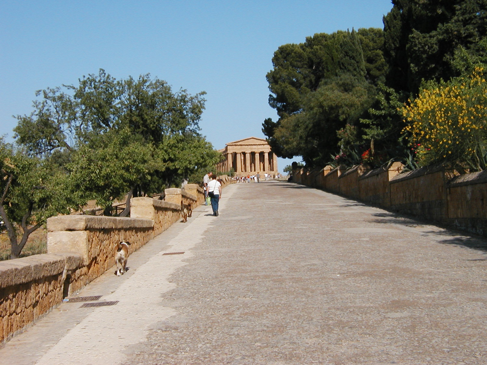 P1010011.JPG