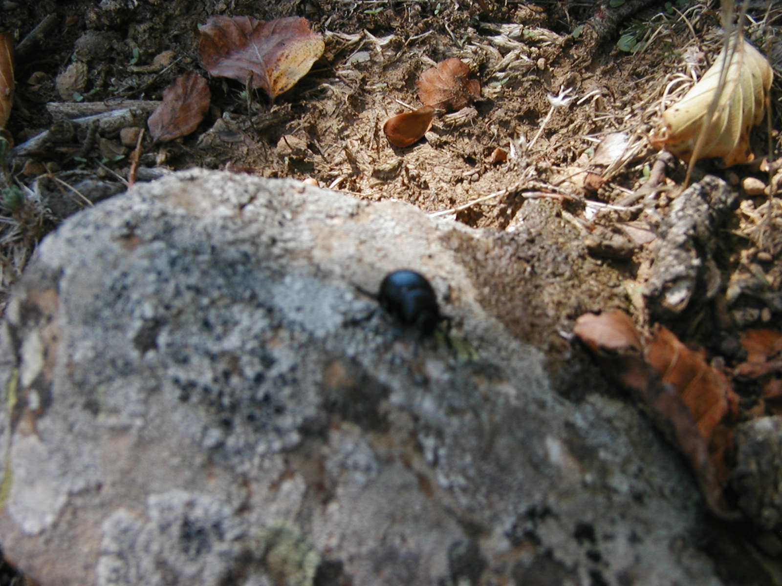 P1010012.JPG