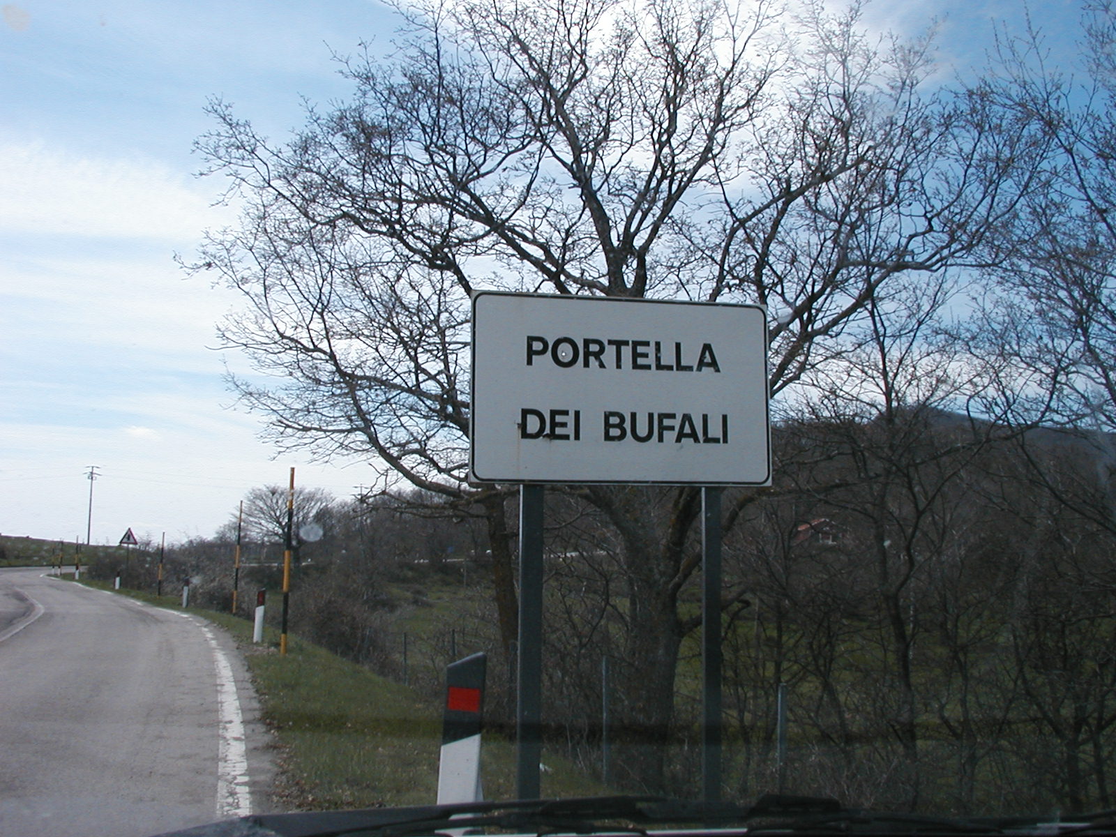 P1010013.JPG
