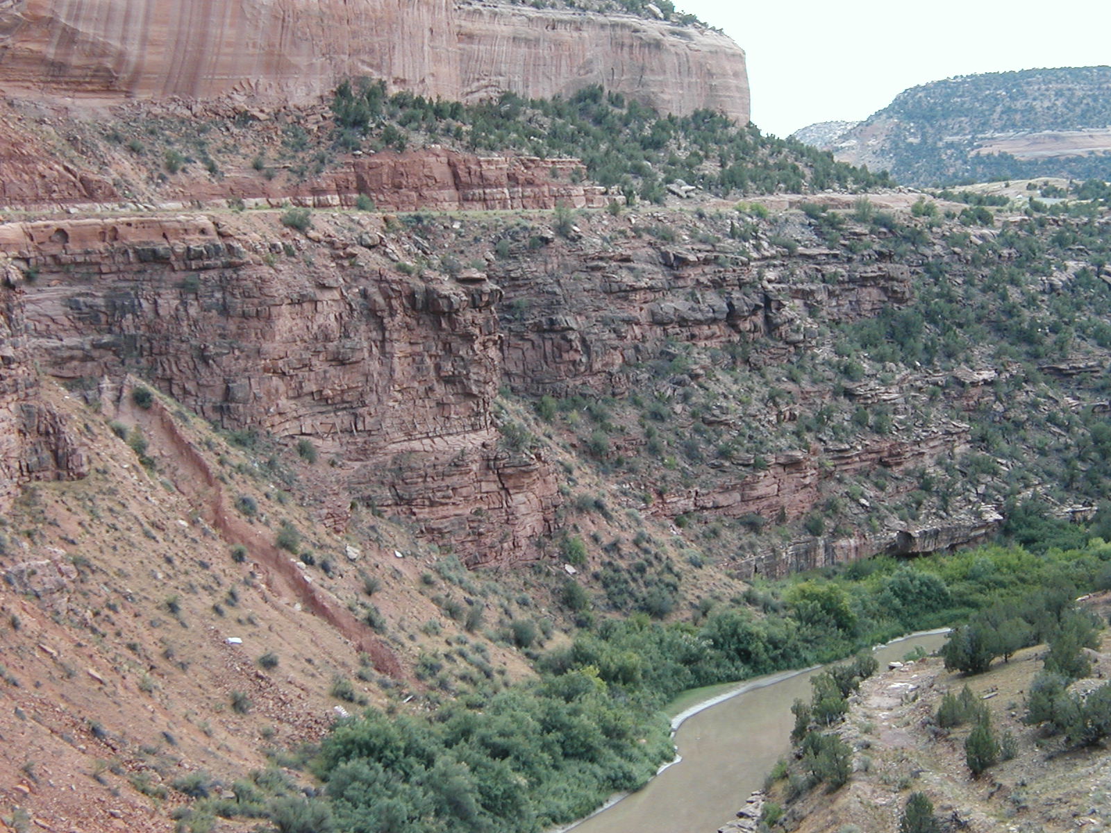 P1010014.JPG