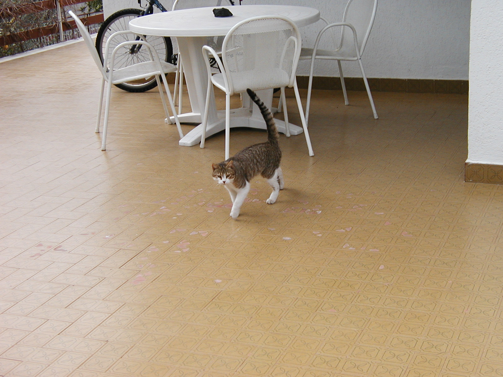 P1010014.JPG
