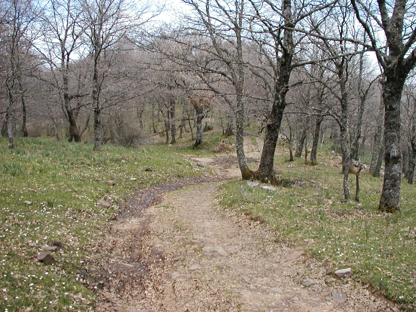 P1010015.JPG
