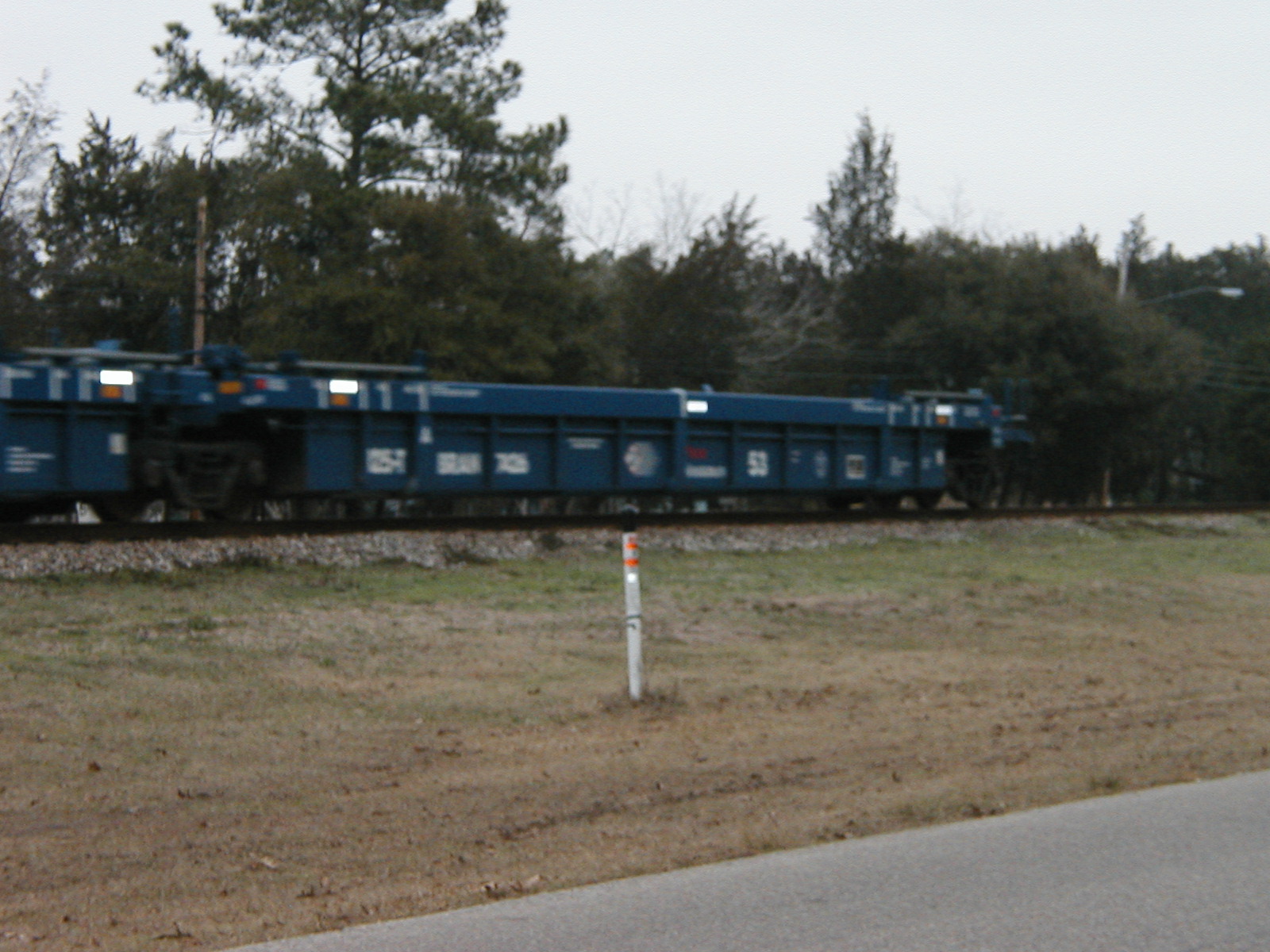 P1010015.JPG