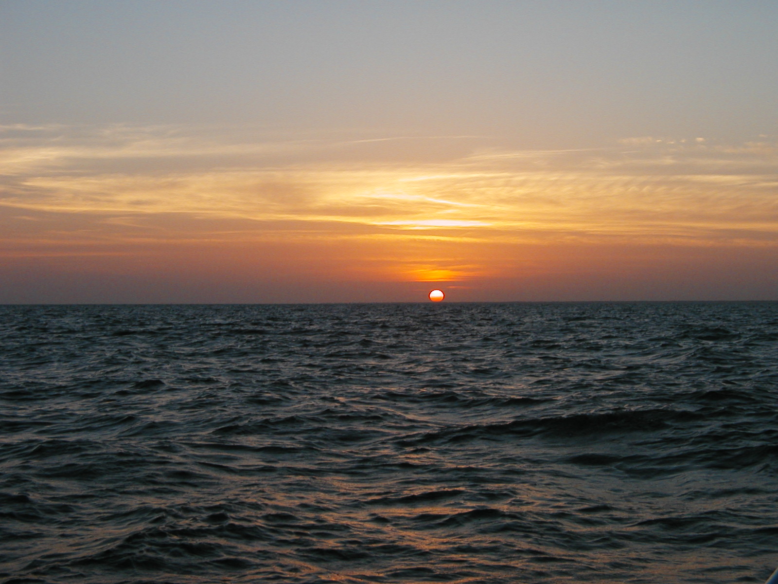 P1010015.JPG