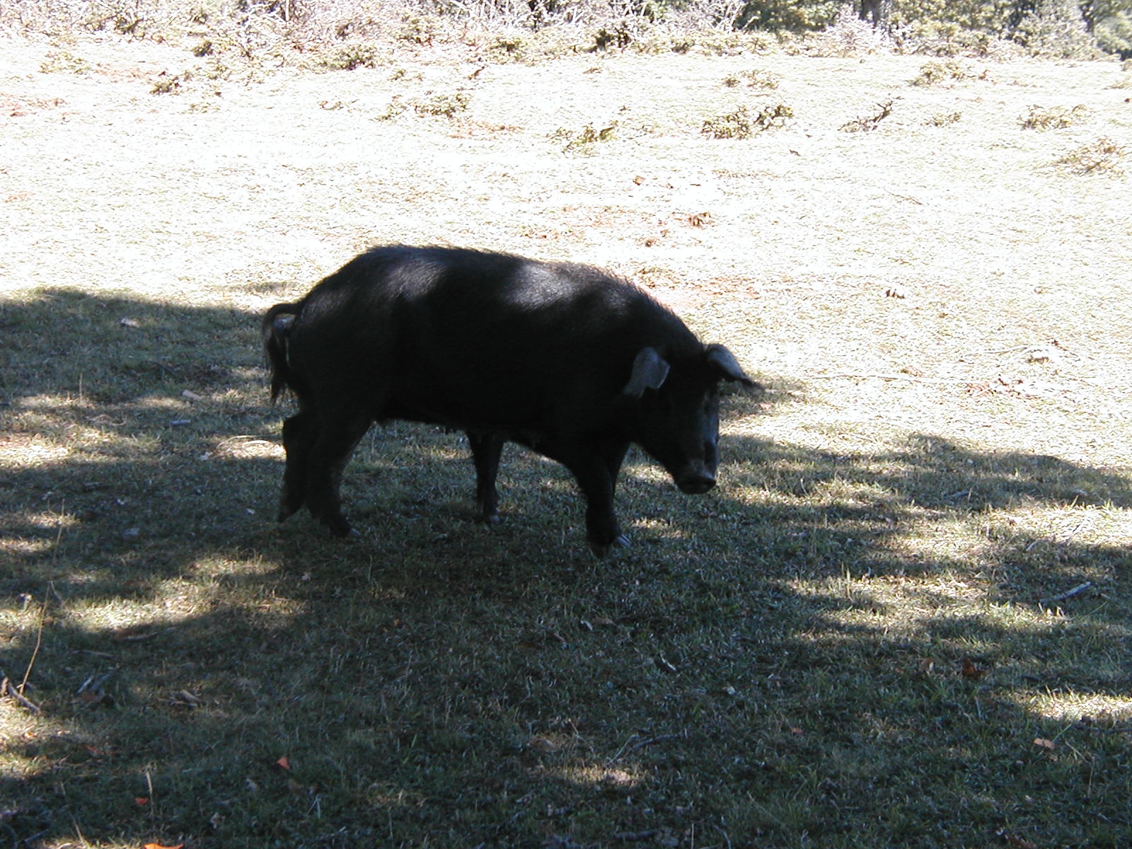 P1010015.JPG