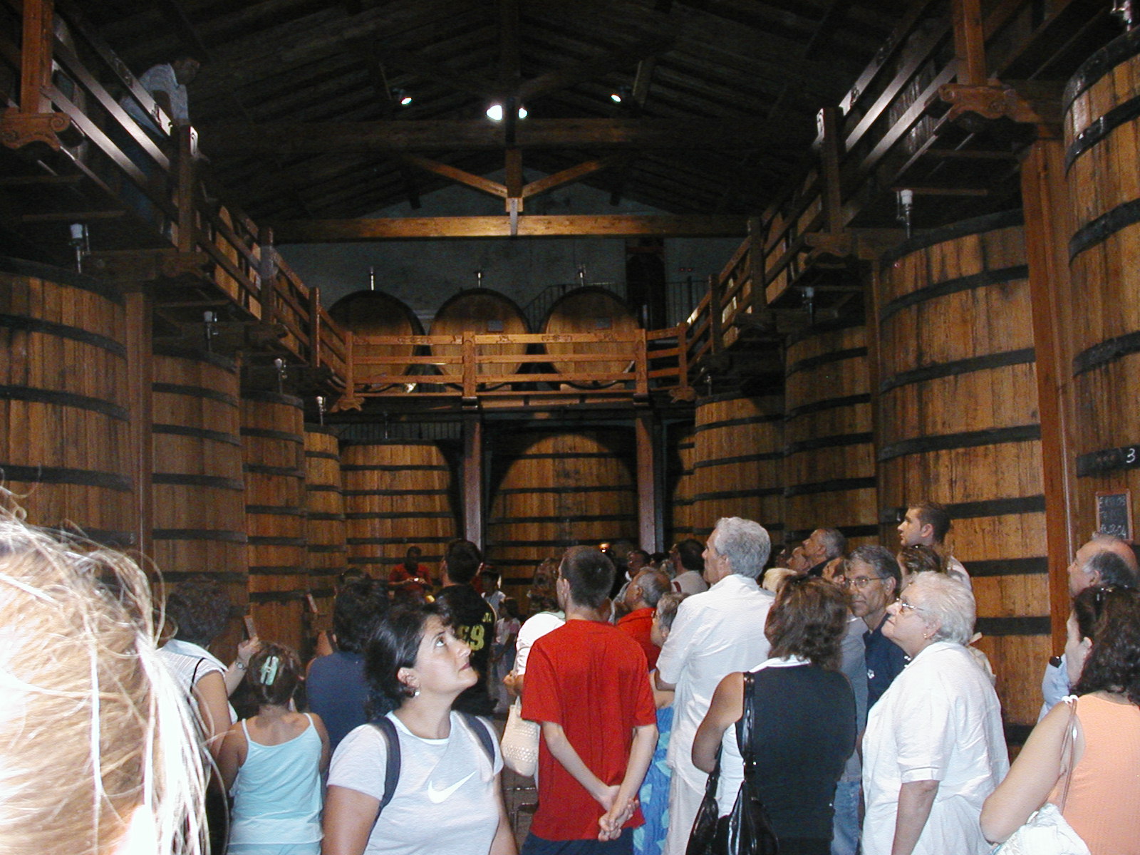 P1010015.JPG