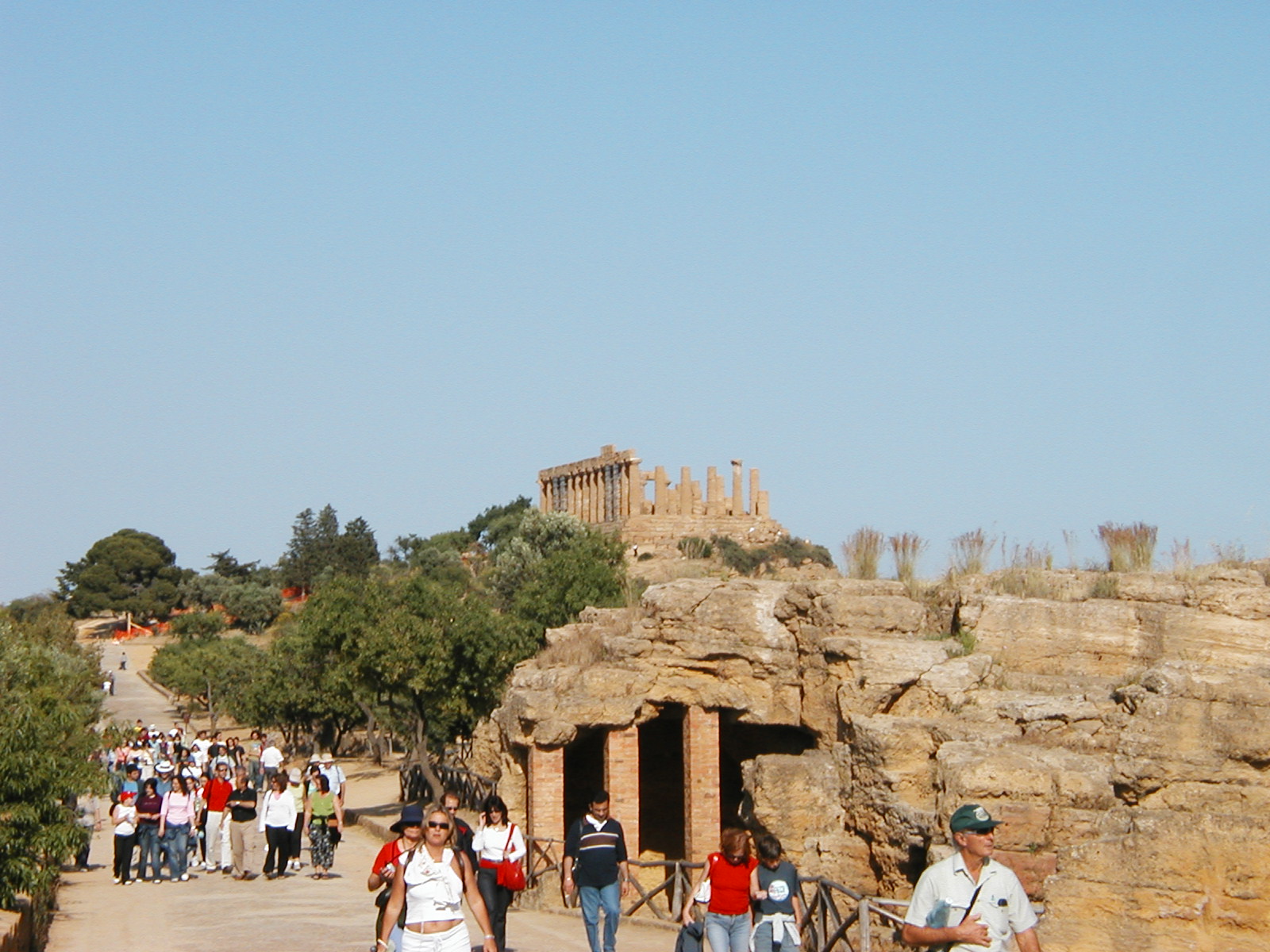 P1010015.JPG