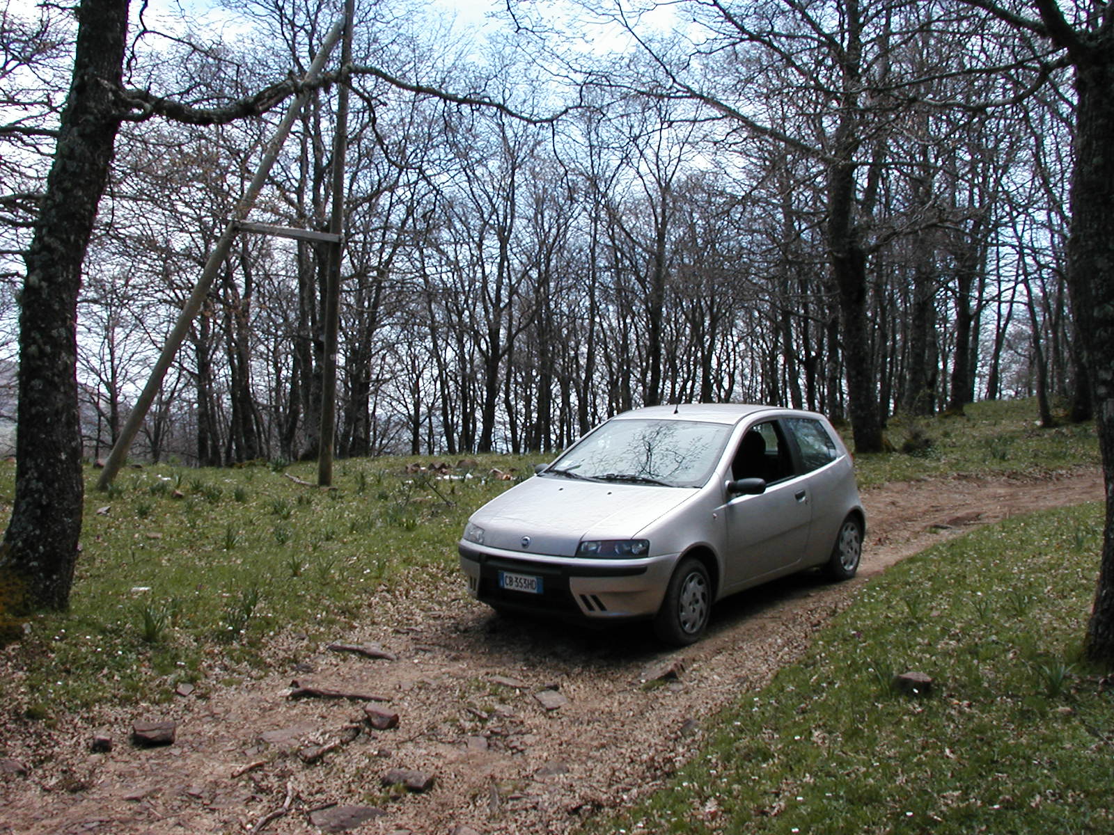 P1010016.JPG