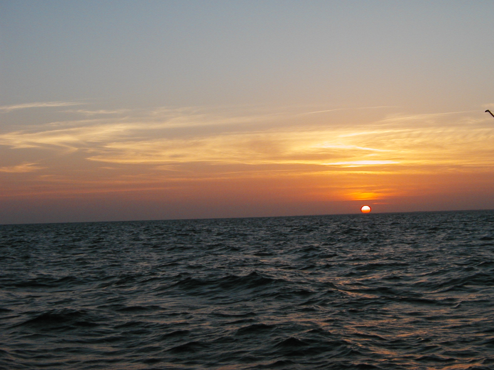 P1010016.JPG