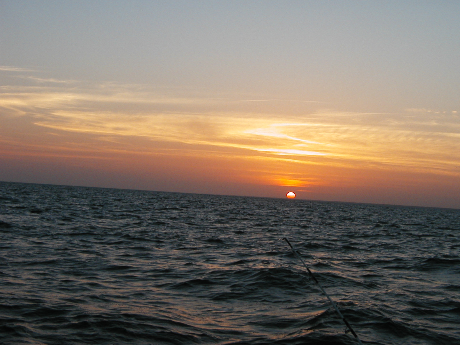 P1010017.JPG