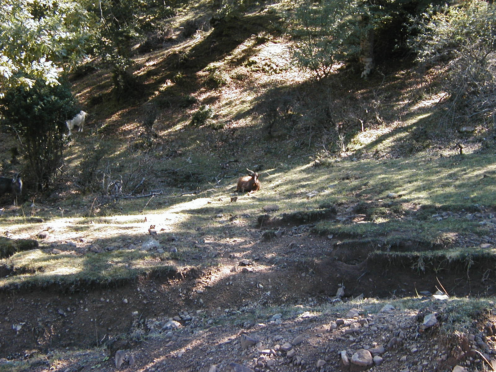 P1010018.JPG