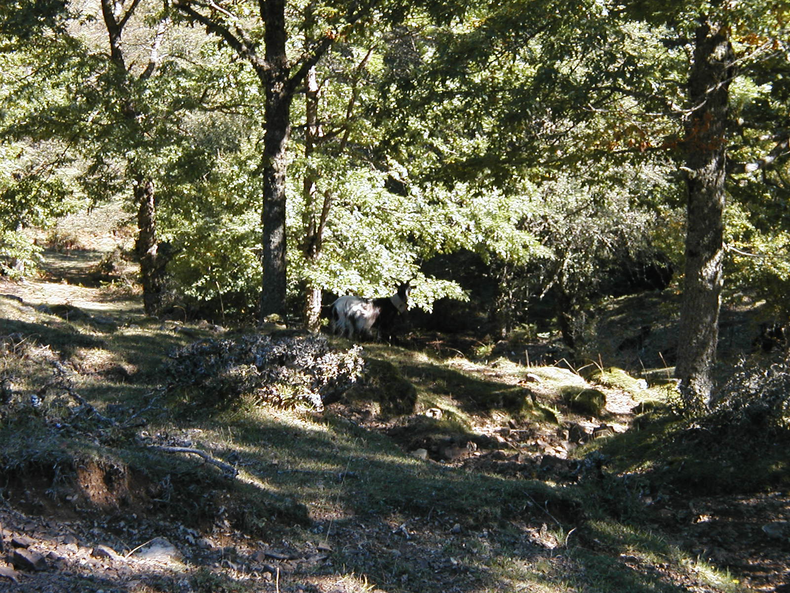 P1010019.JPG