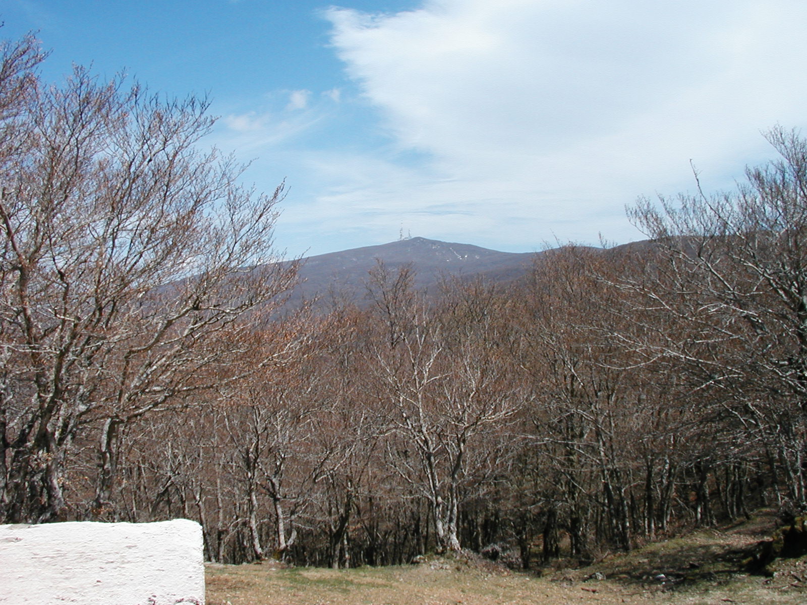 P1010020.JPG