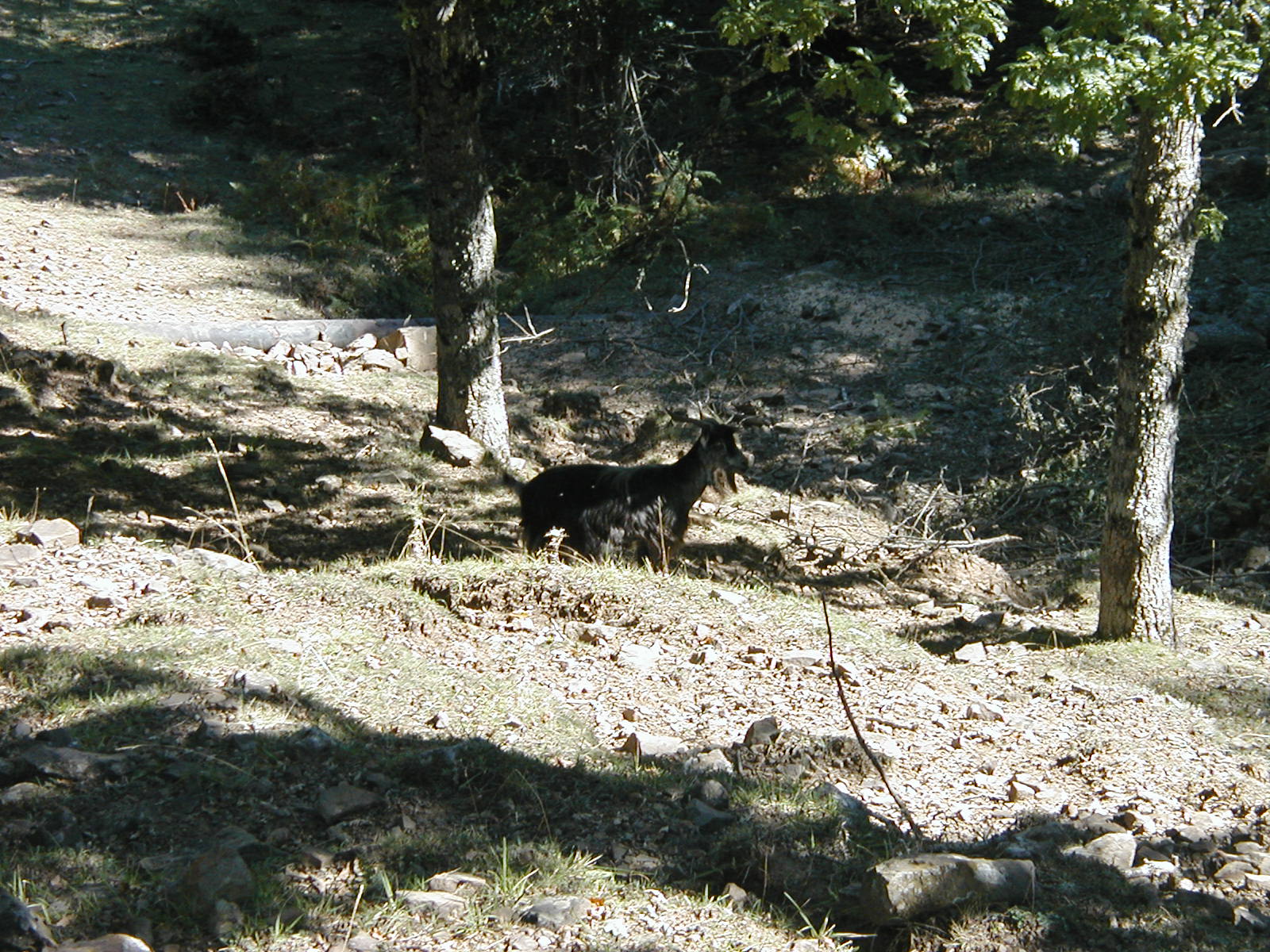 P1010020.JPG