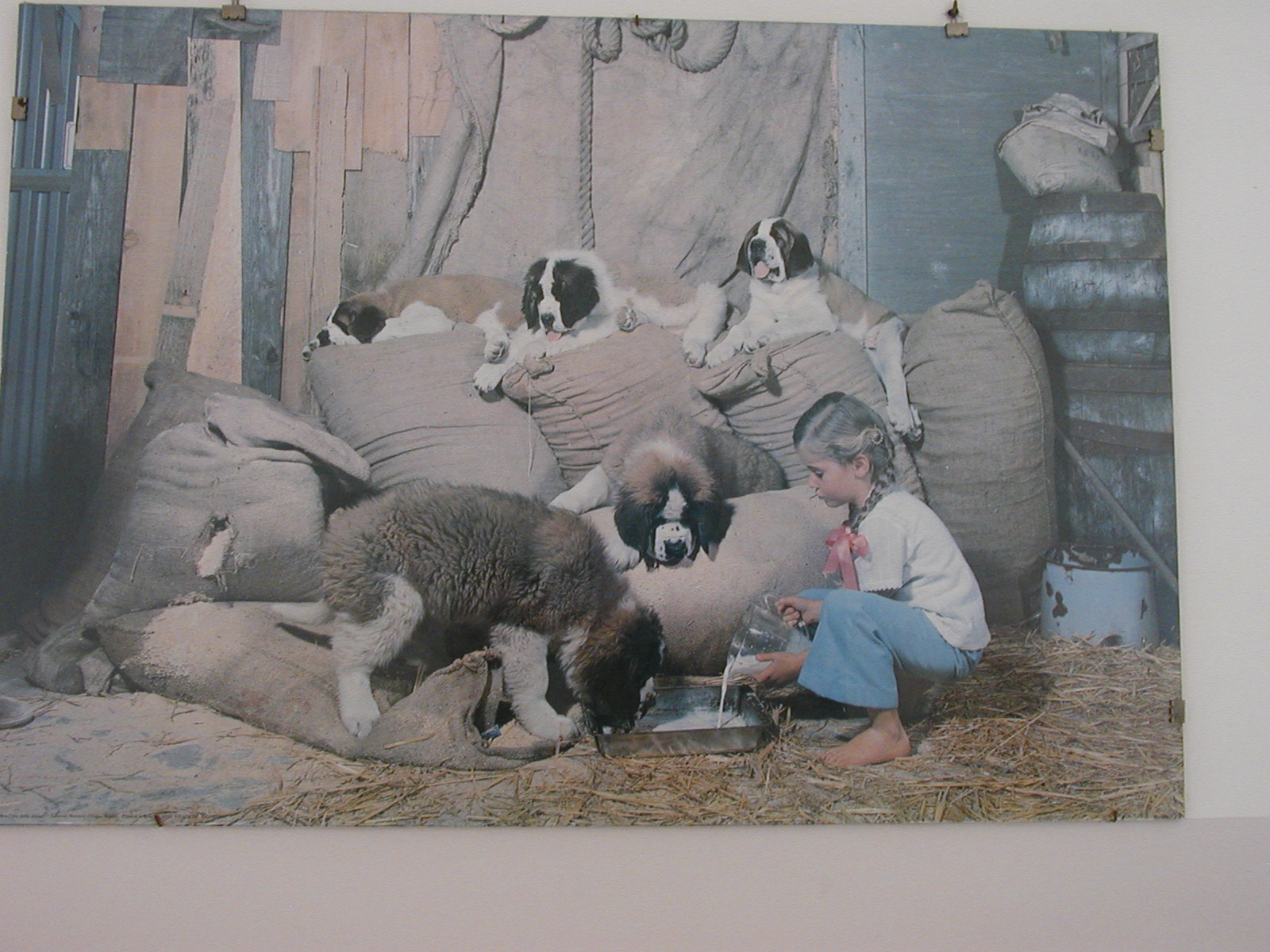 P1010020.JPG