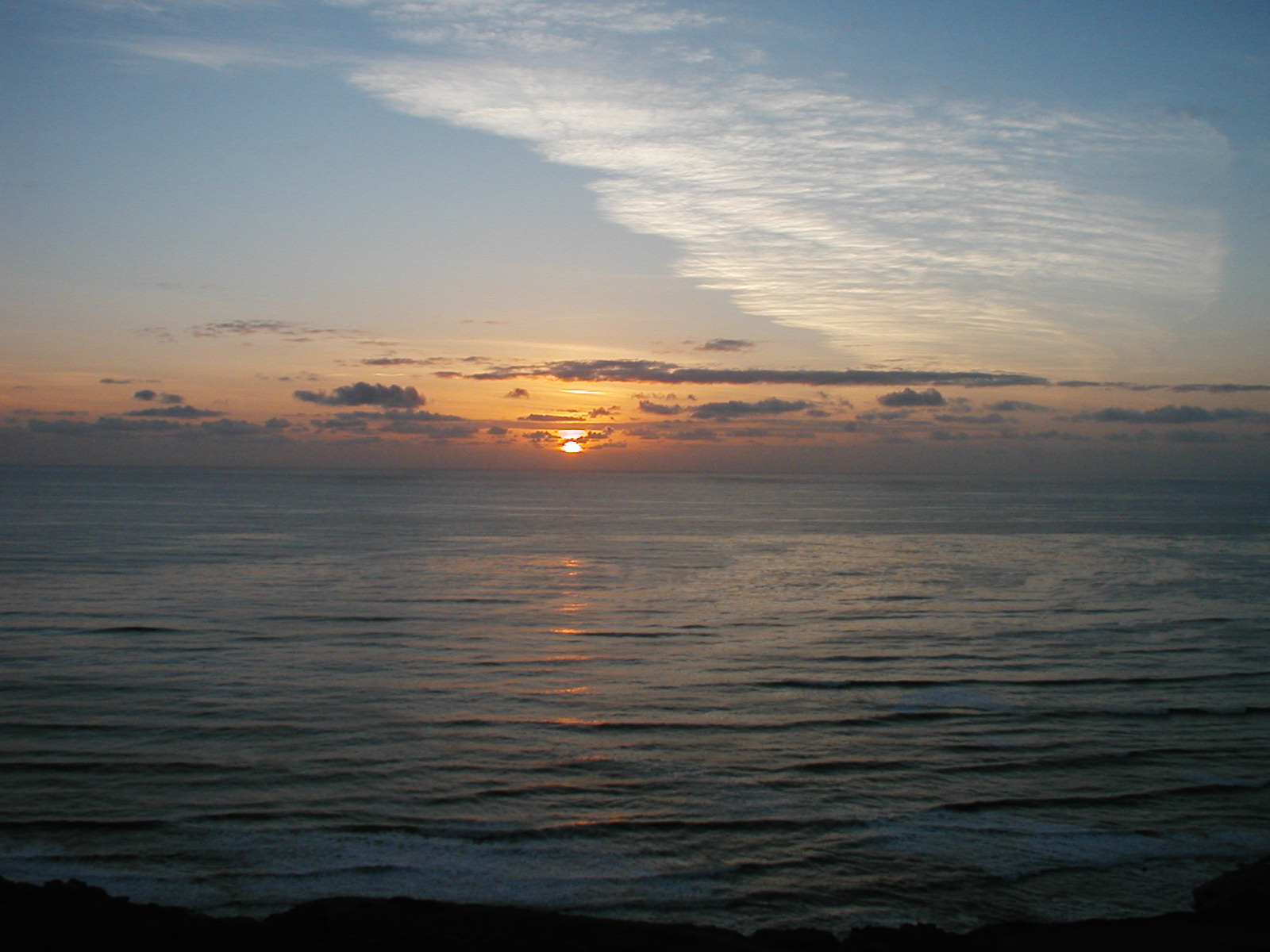 P1010021.JPG