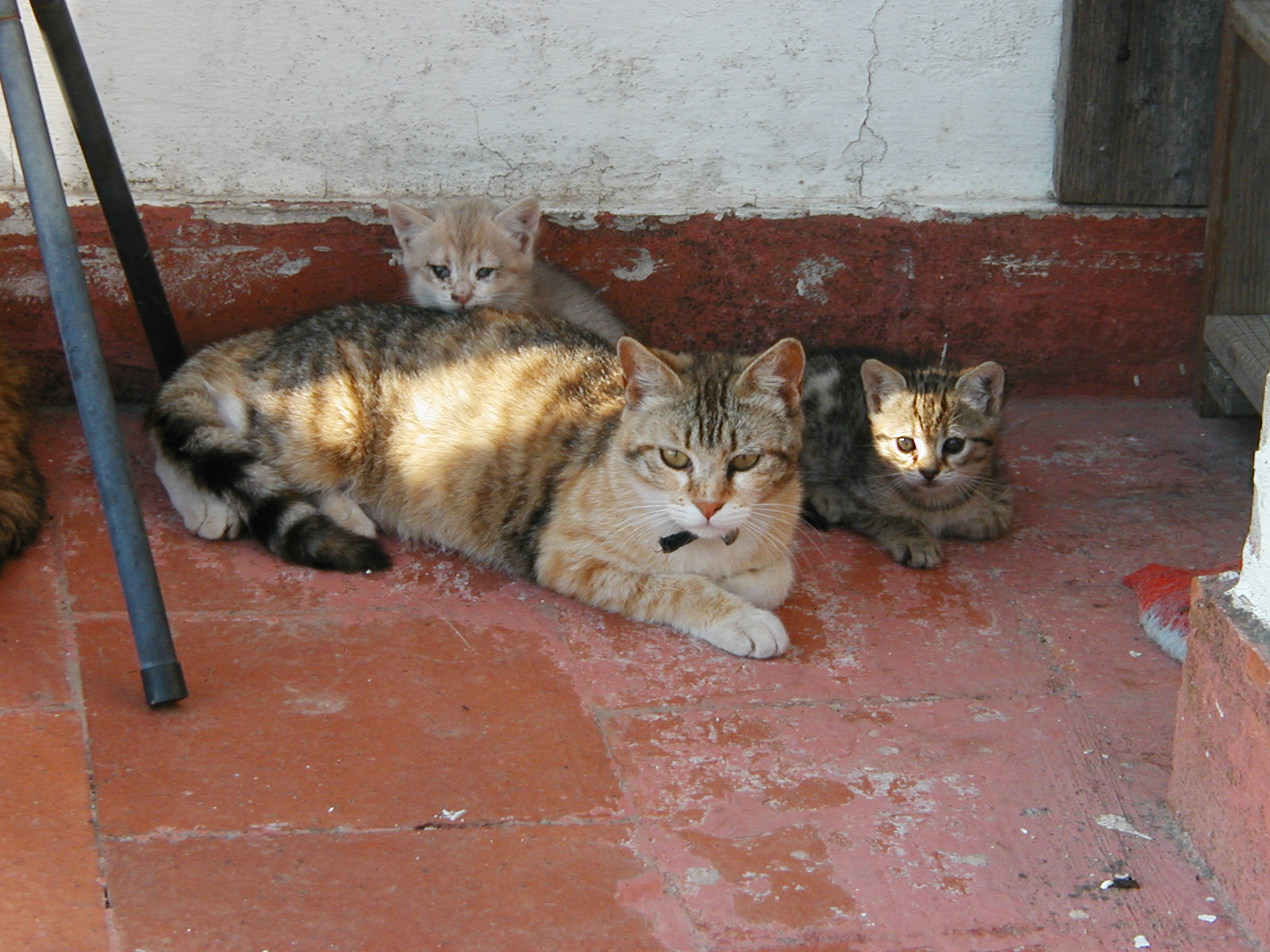 P1010023.JPG