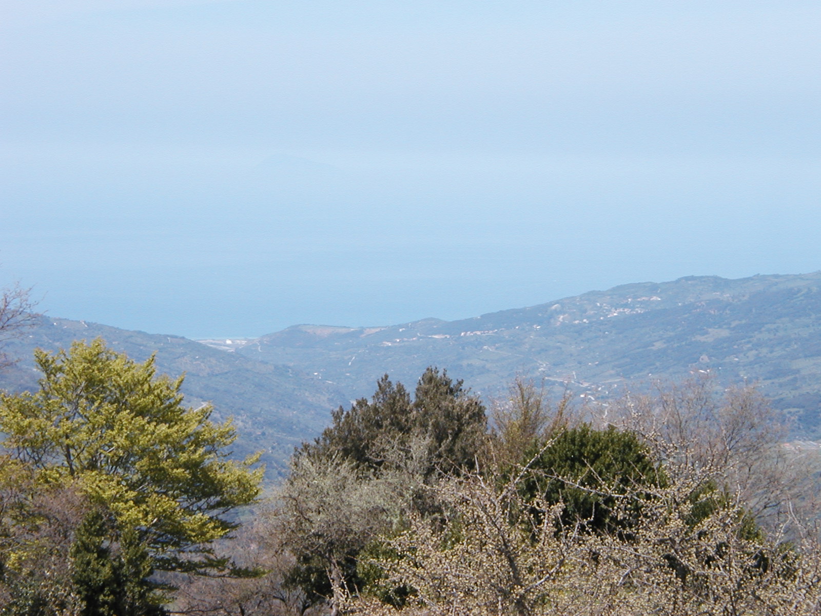 P1010024.JPG