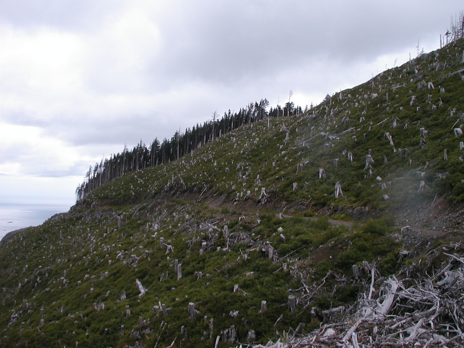 P1010025.JPG