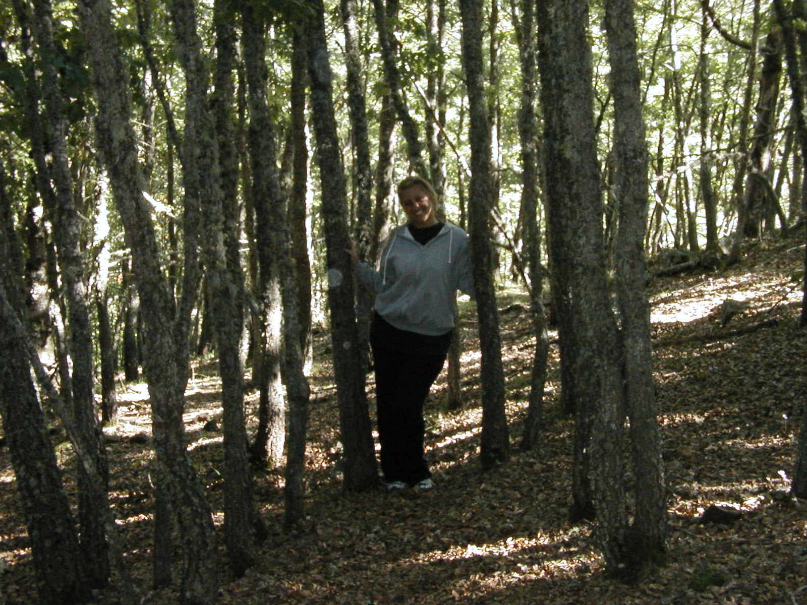 P1010025.JPG