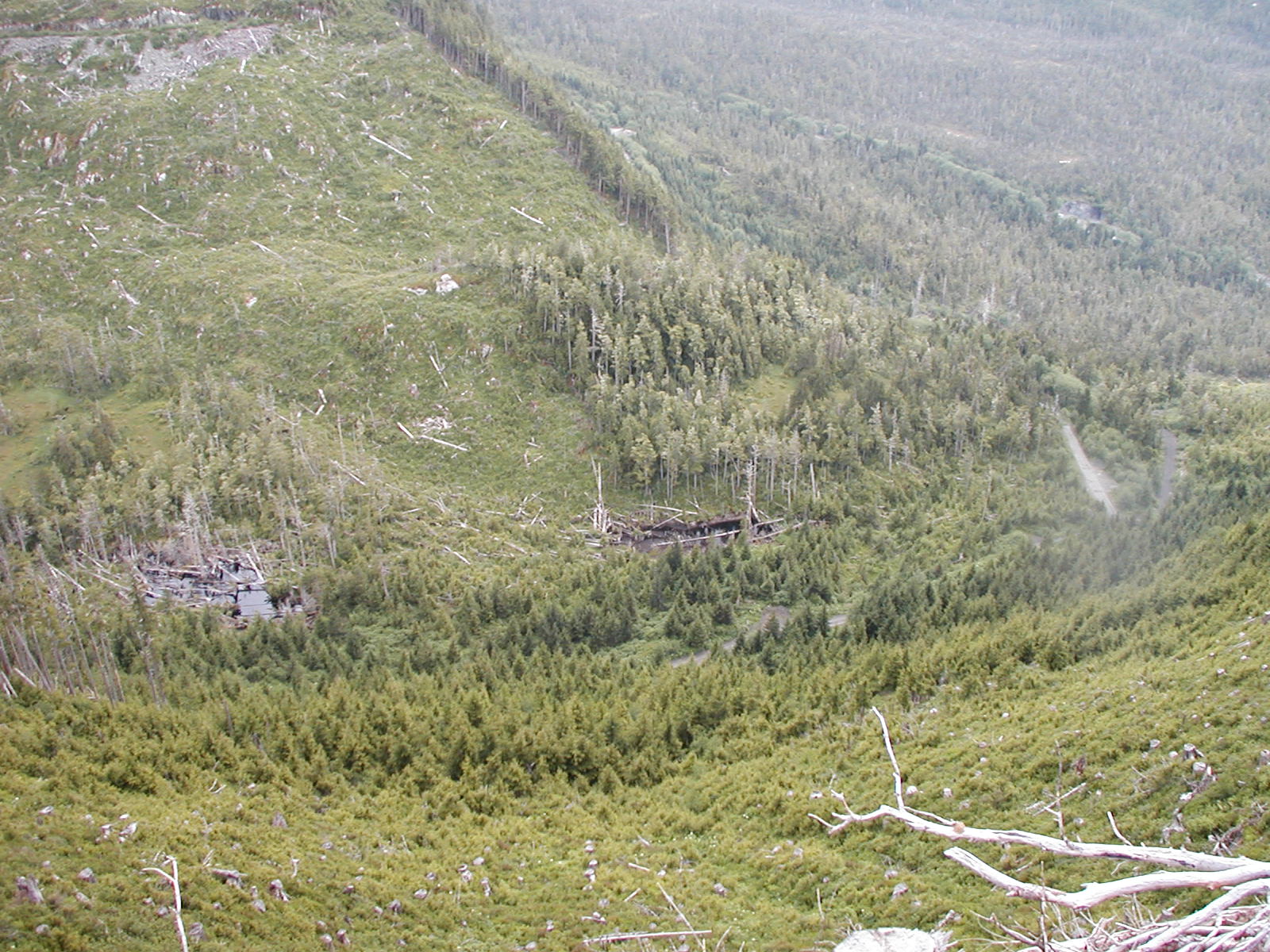 P1010026.JPG