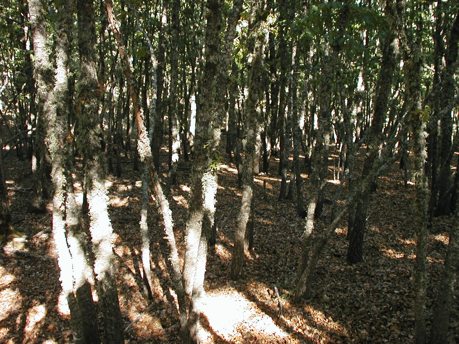 P1010026.JPG