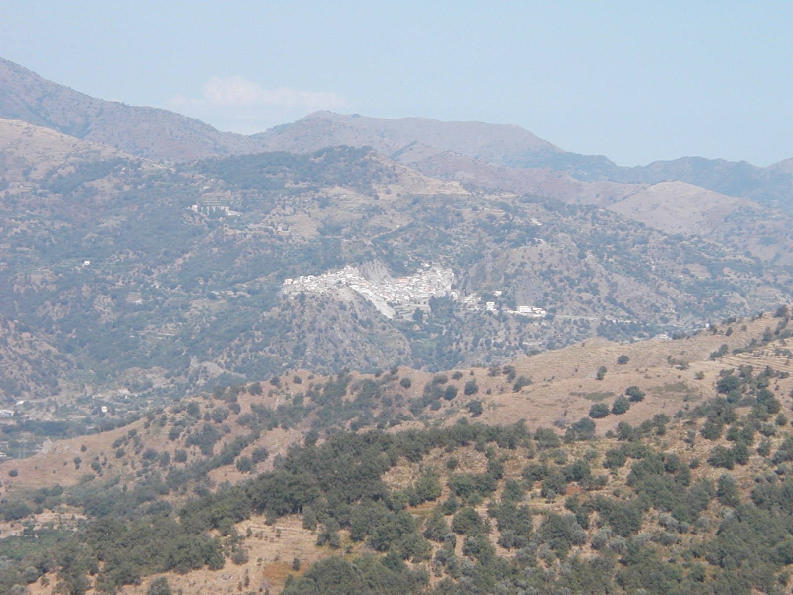 P1010026.JPG