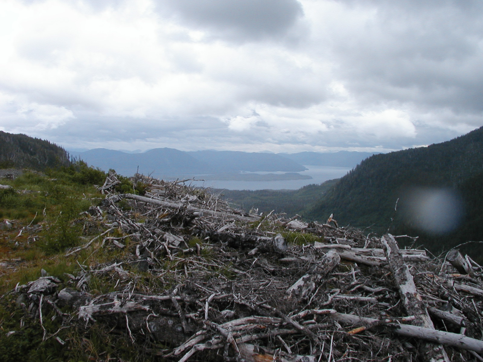 P1010027.JPG