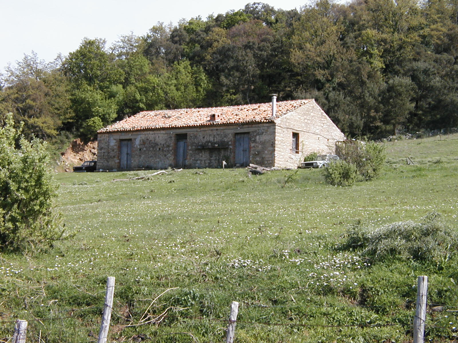 P1010029.JPG