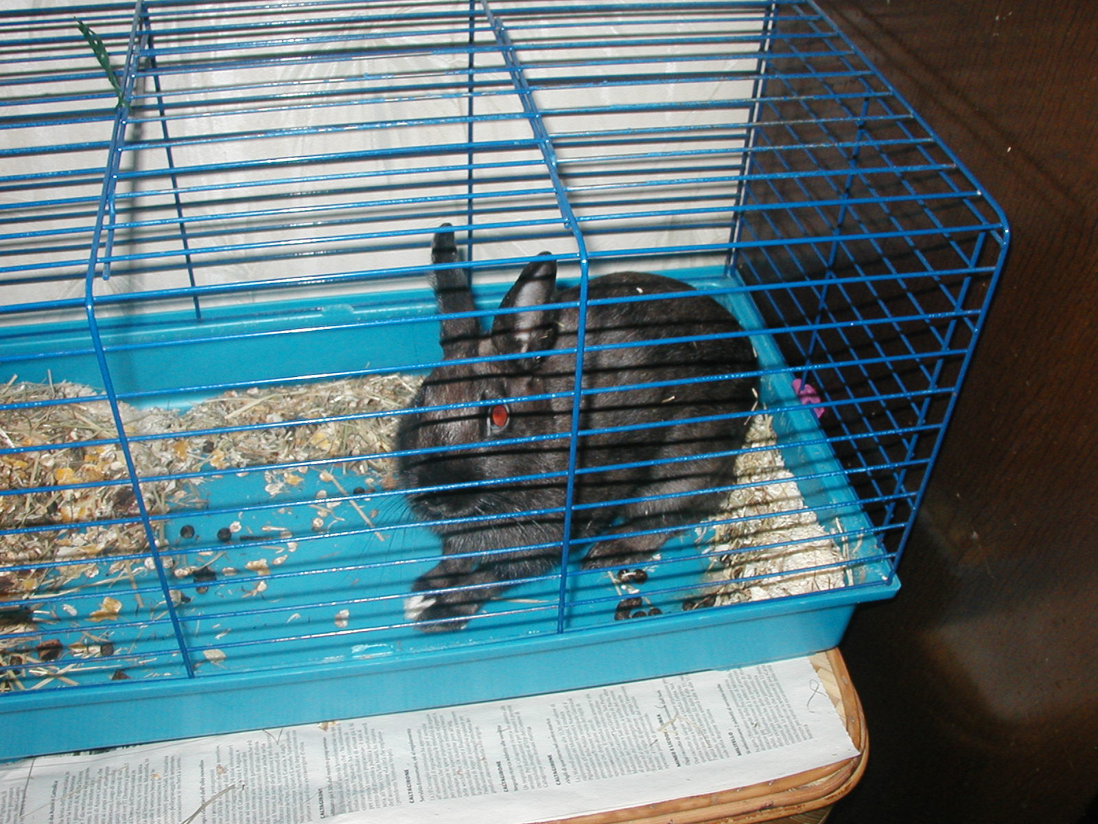 P1010029.JPG