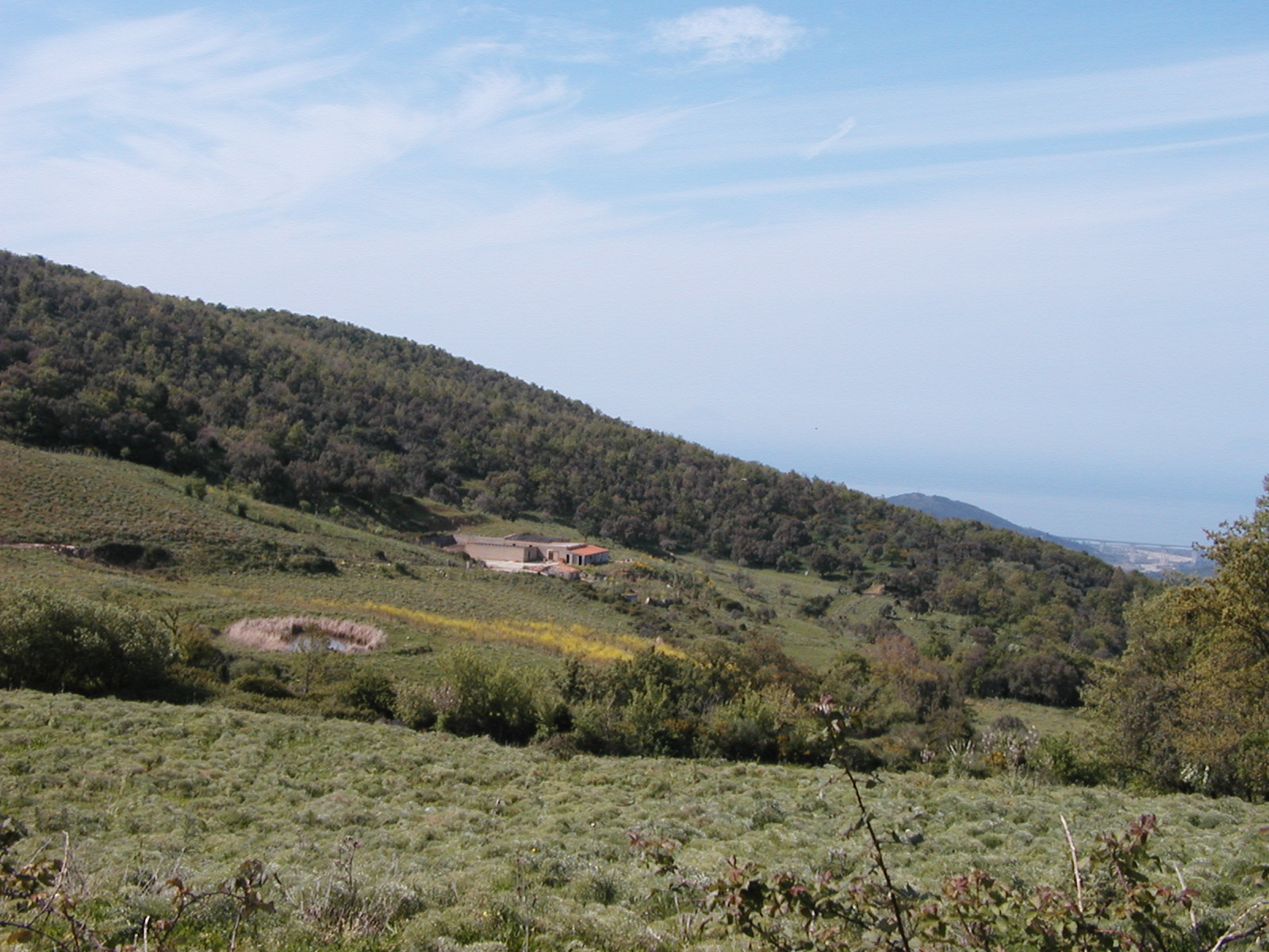 P1010030.JPG