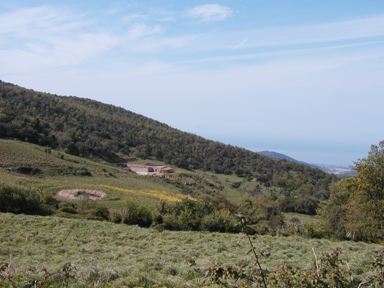 P1010031.JPG