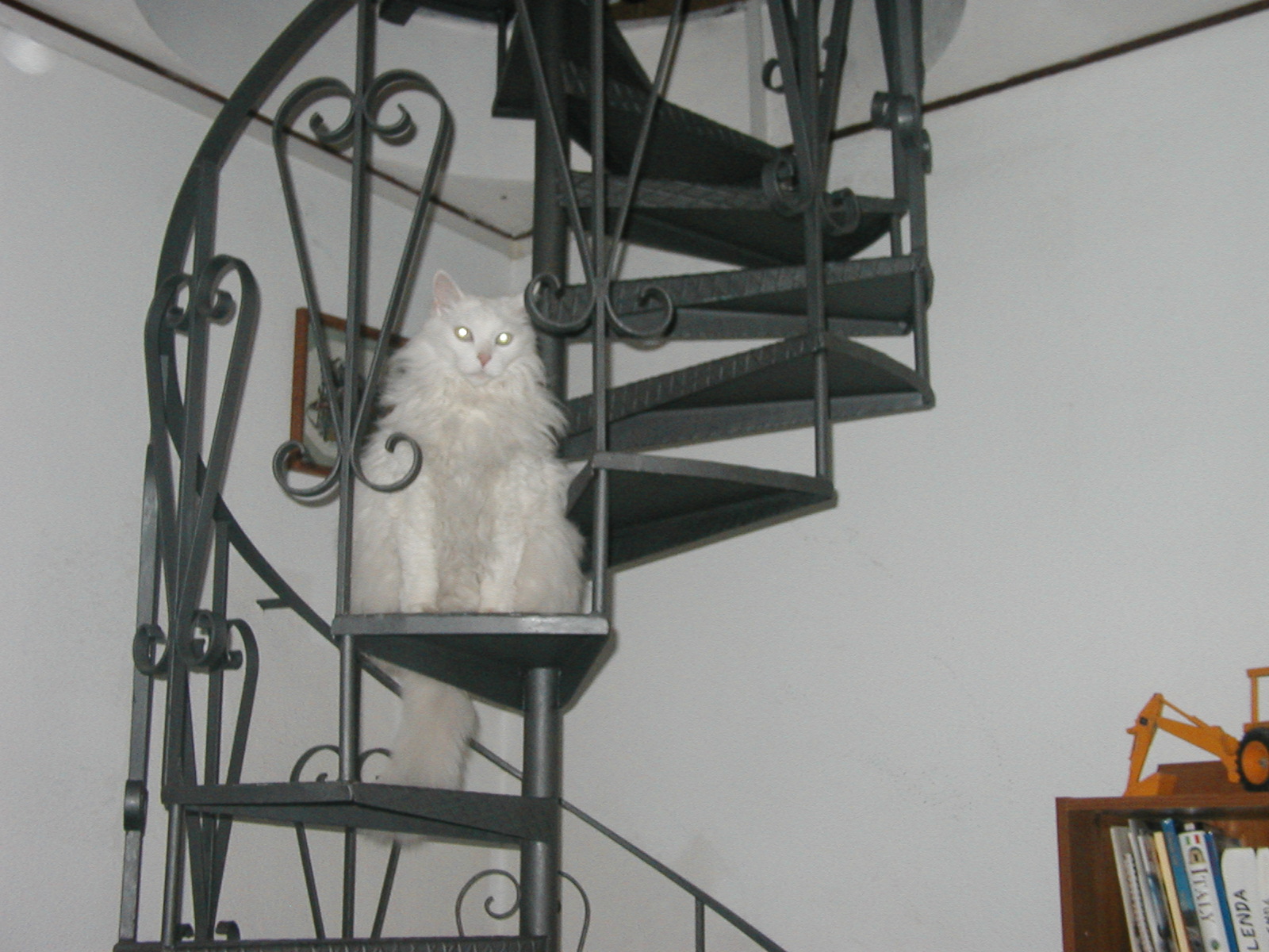 P1010031.JPG