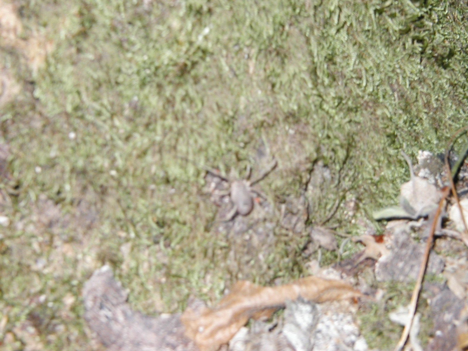 P1010031.JPG