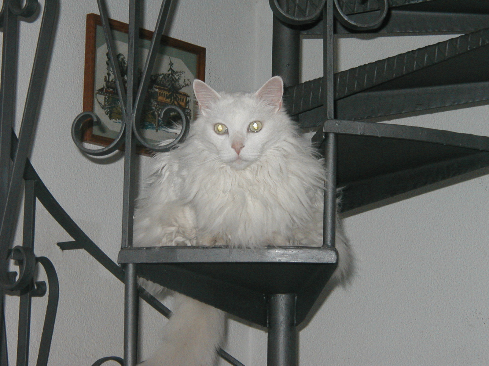 P1010033.JPG