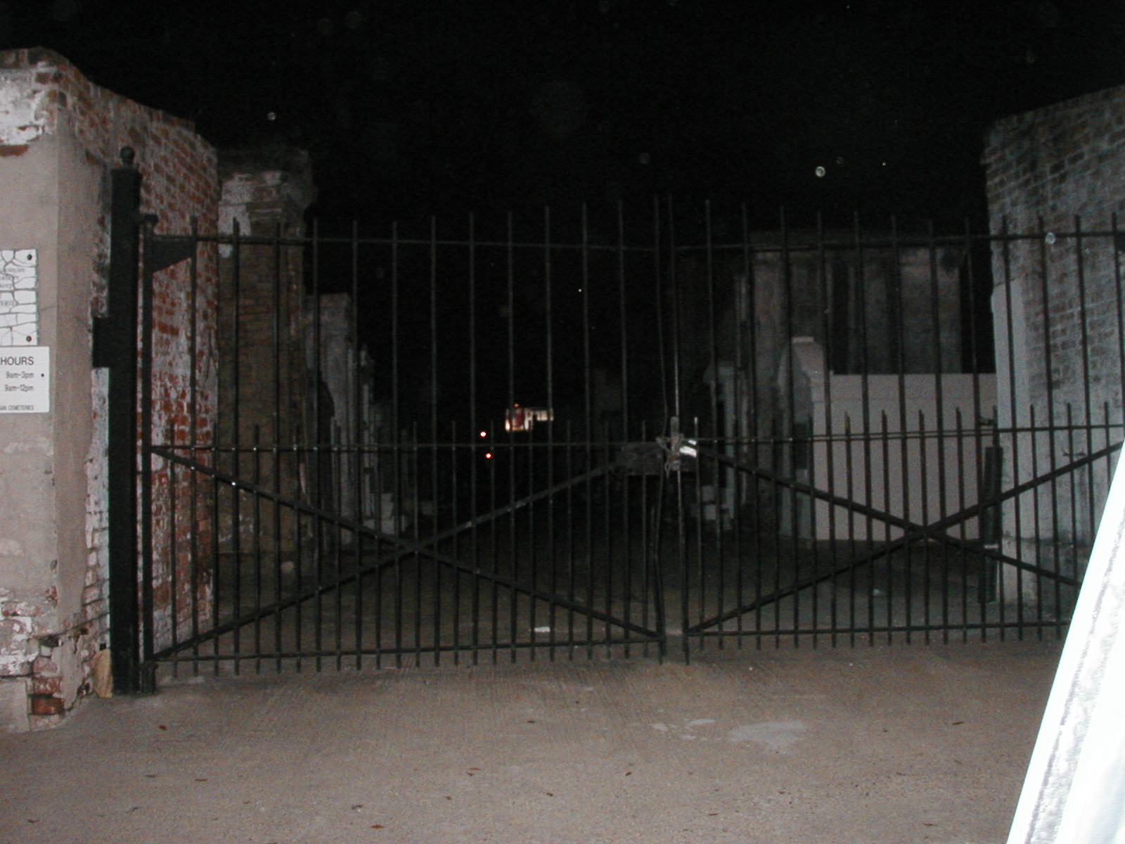 P1010033.JPG