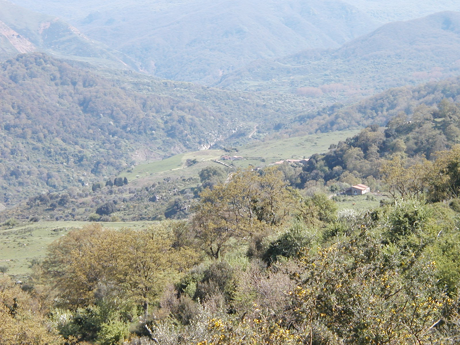 P1010035.JPG
