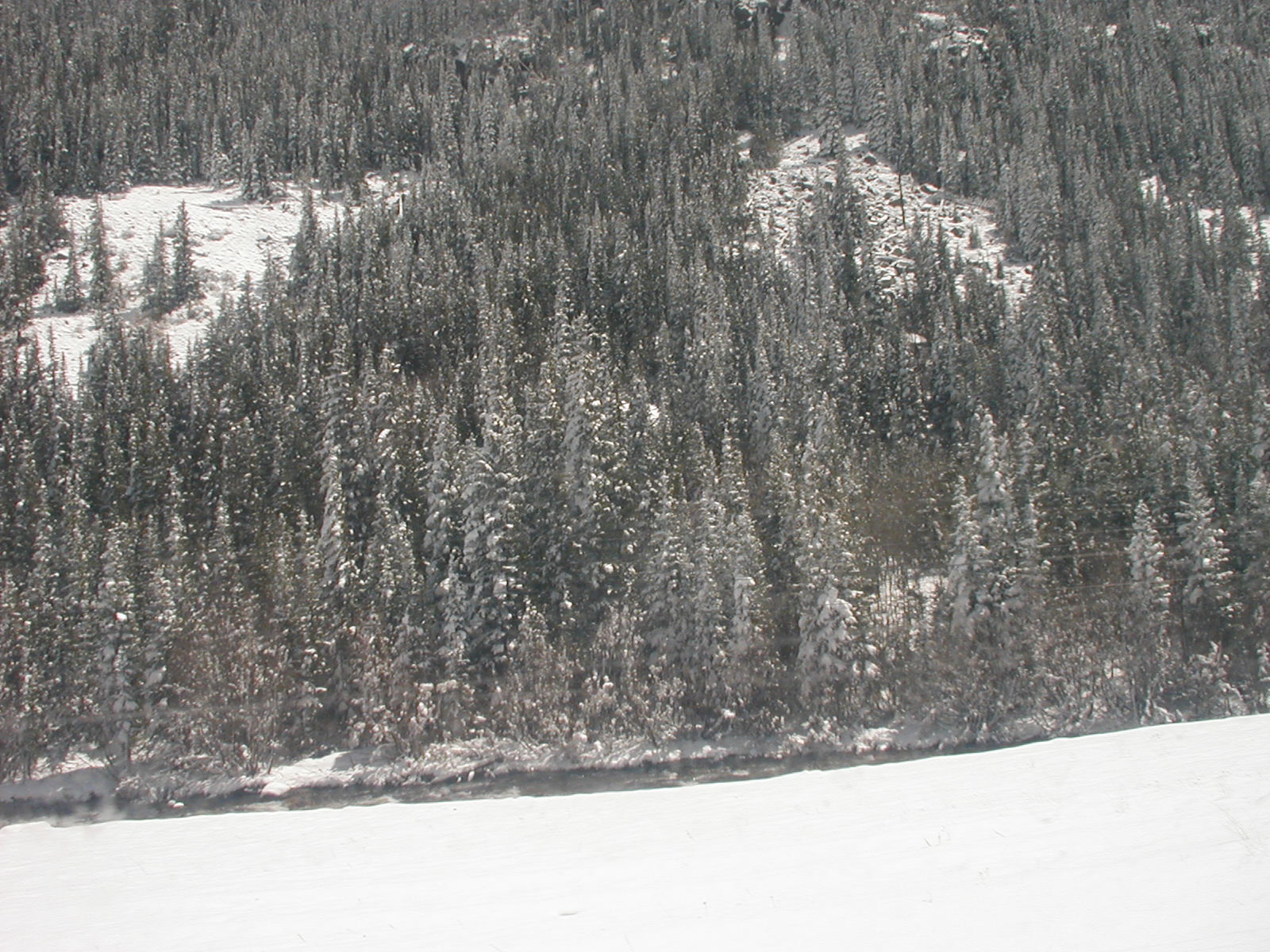 P1010035.JPG